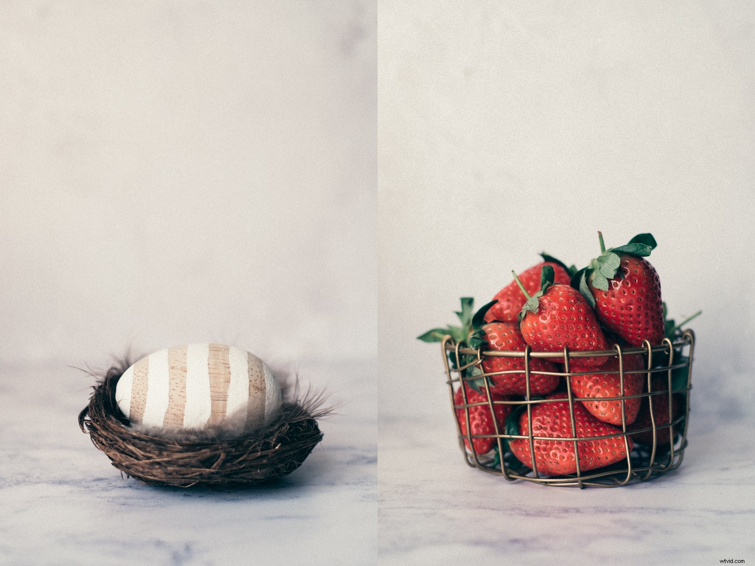 Mastering Still Life Photography: Crafting Cohesive Series for Portfolios and Exhibitions