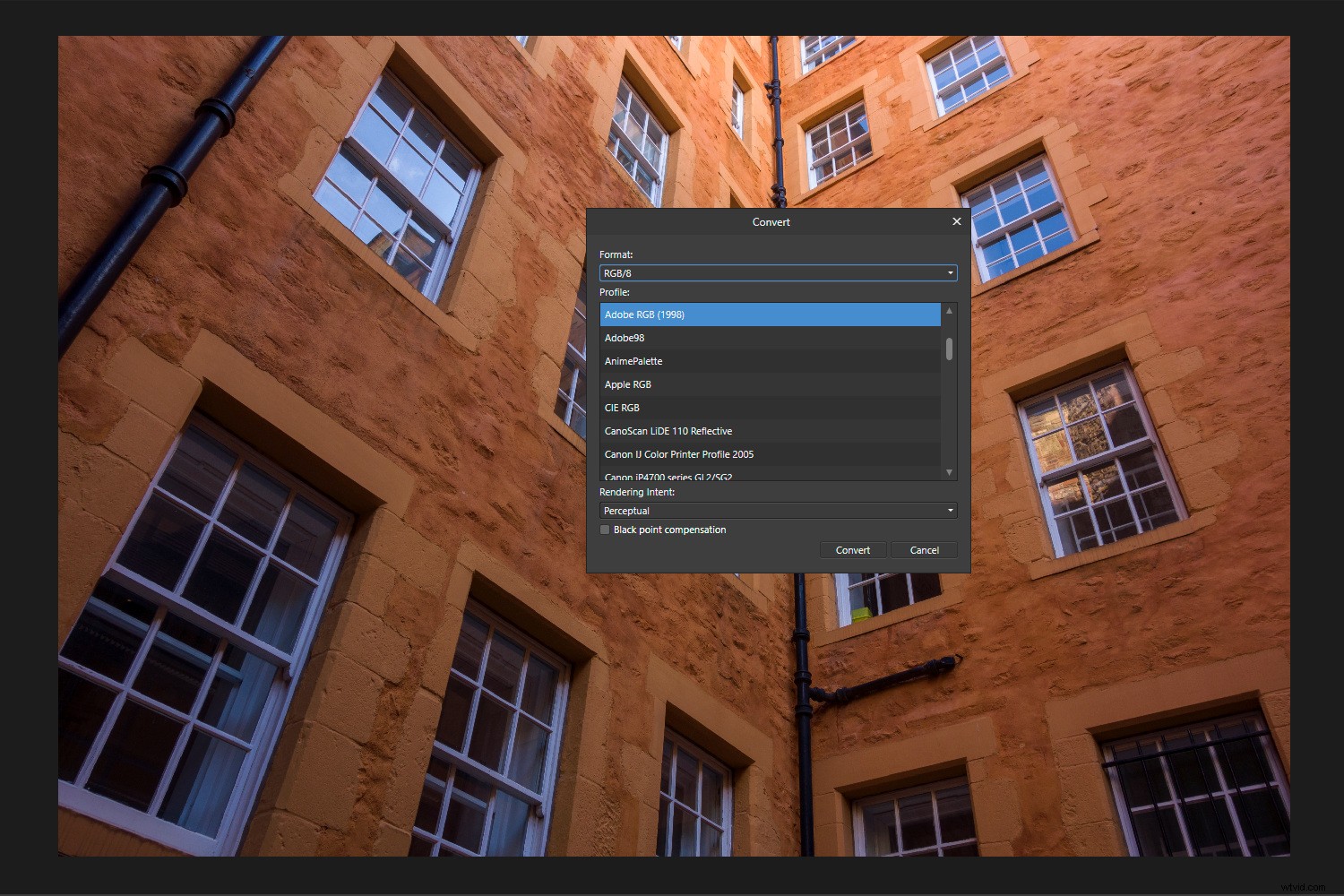 Mastering Color Management in Affinity Photo: The Definitive Guide