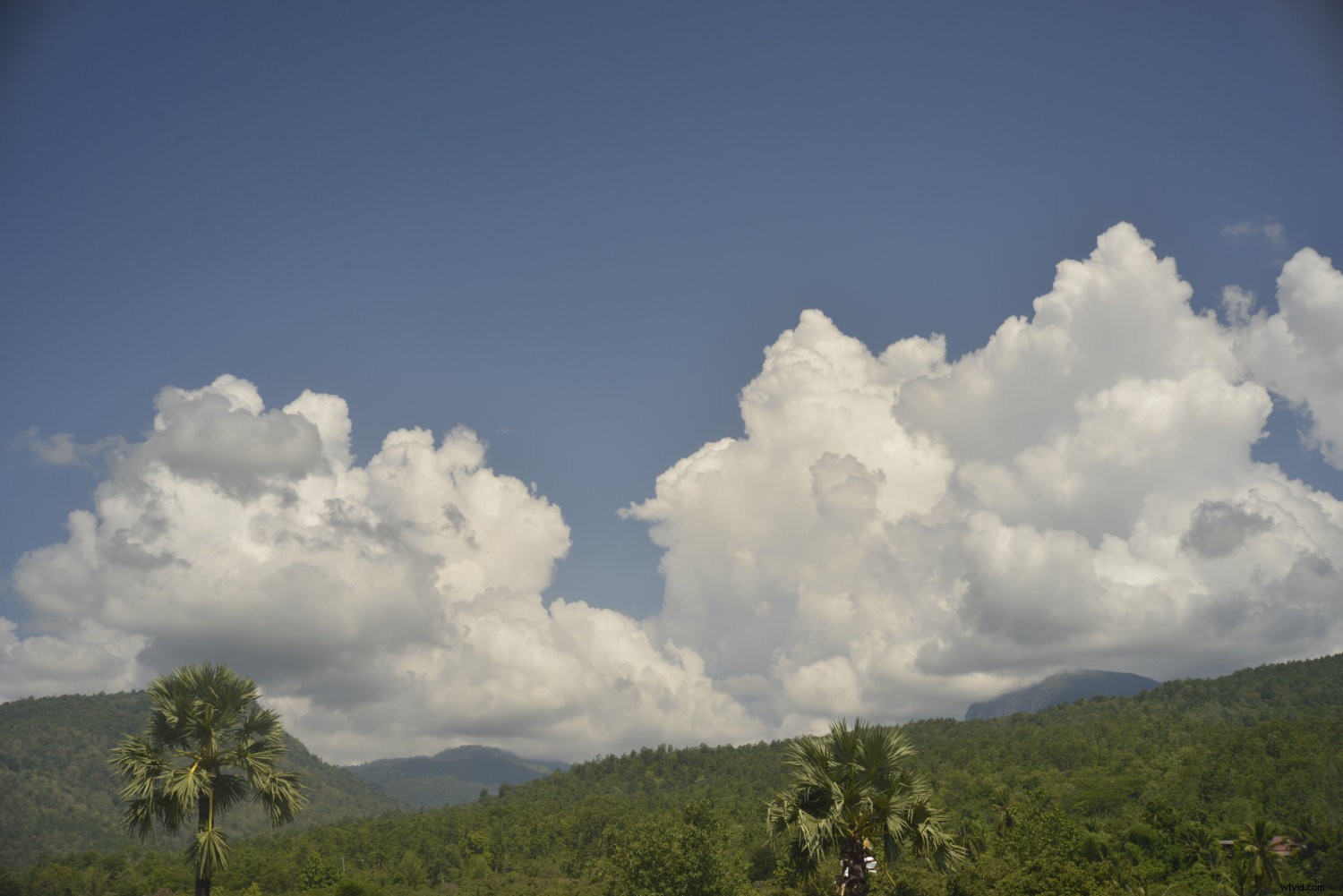 Master Polarizing Filters: How, Why, and When to Use Them for Stunning Photos