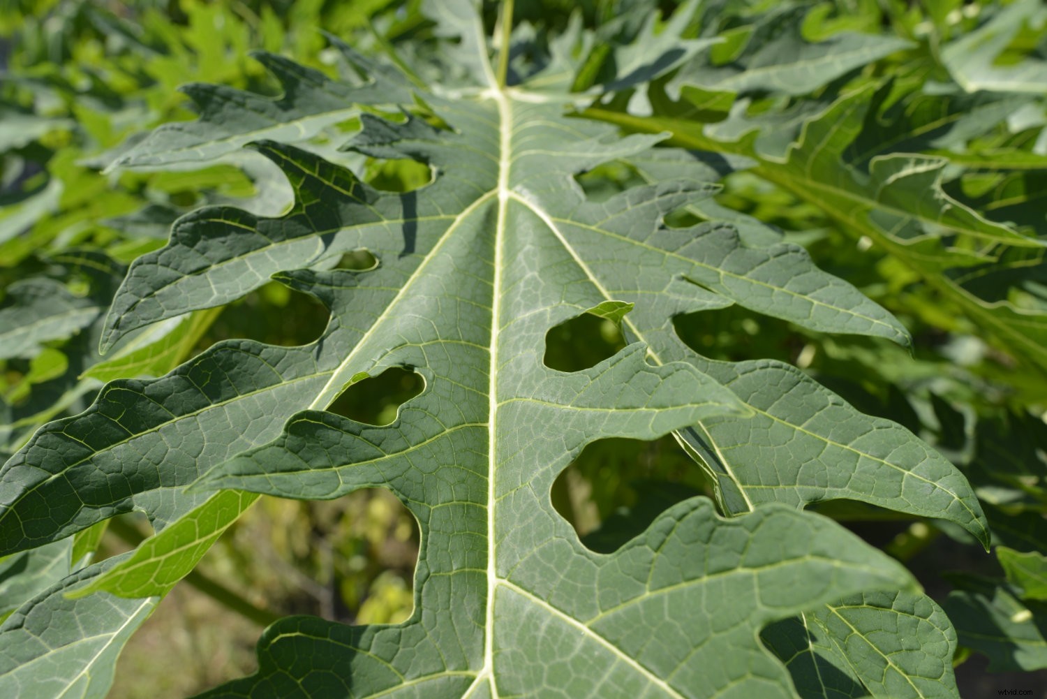 Master Polarizing Filters: How, Why, and When to Use Them for Stunning Photos