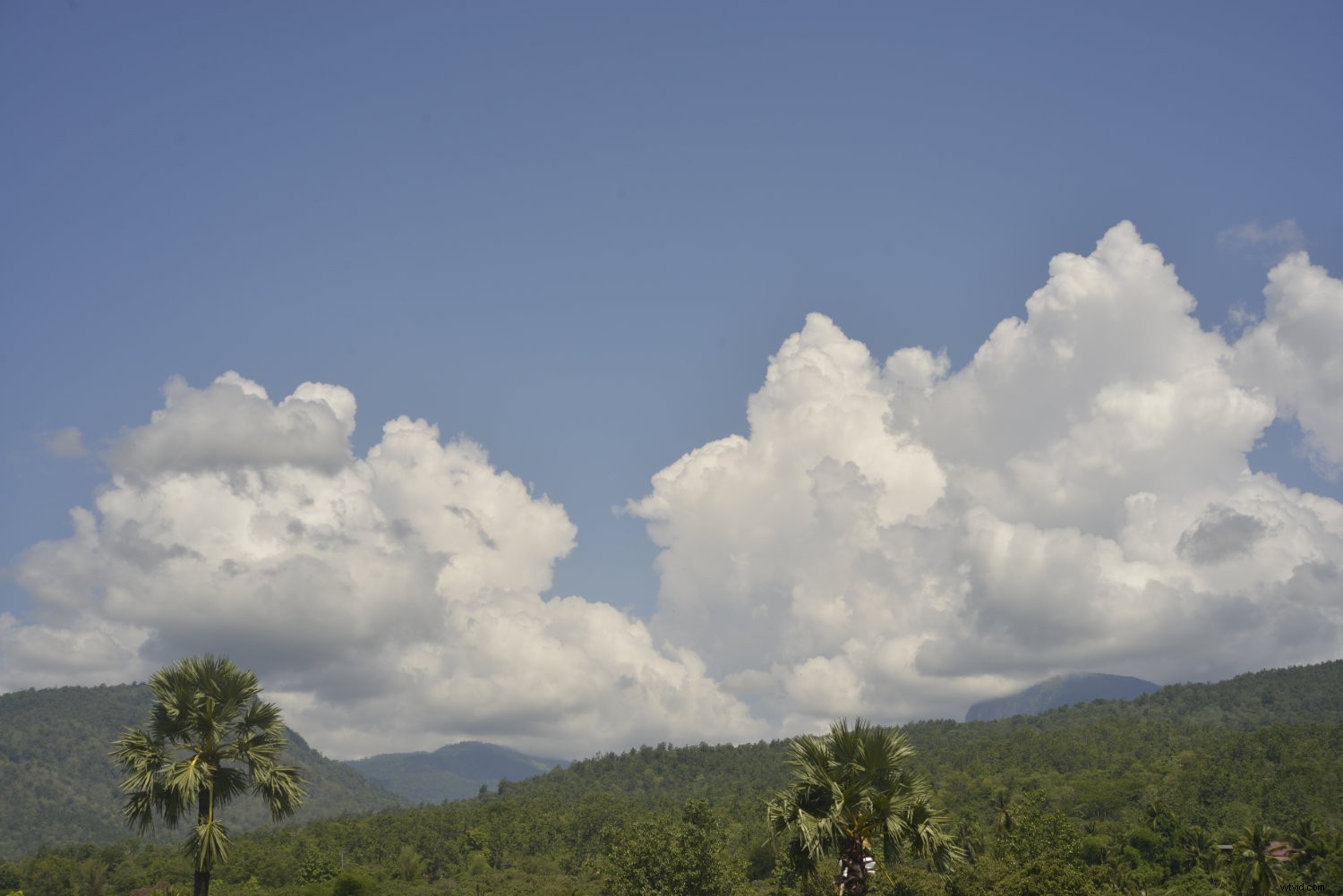 Master Polarizing Filters: How, Why, and When to Use Them for Stunning Photos
