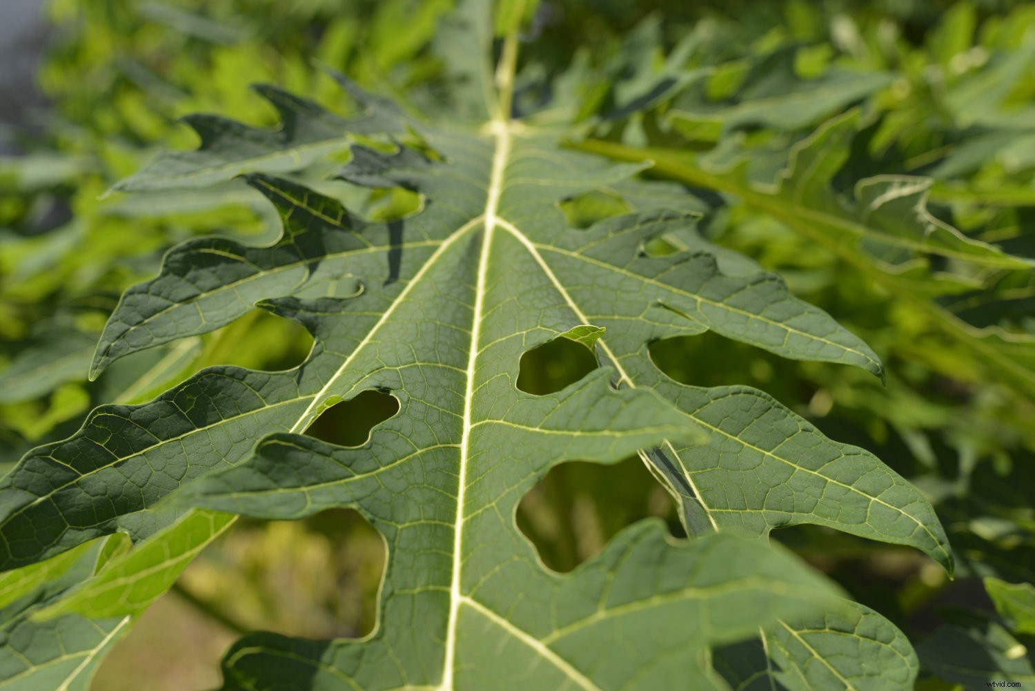 Master Polarizing Filters: How, Why, and When to Use Them for Stunning Photos