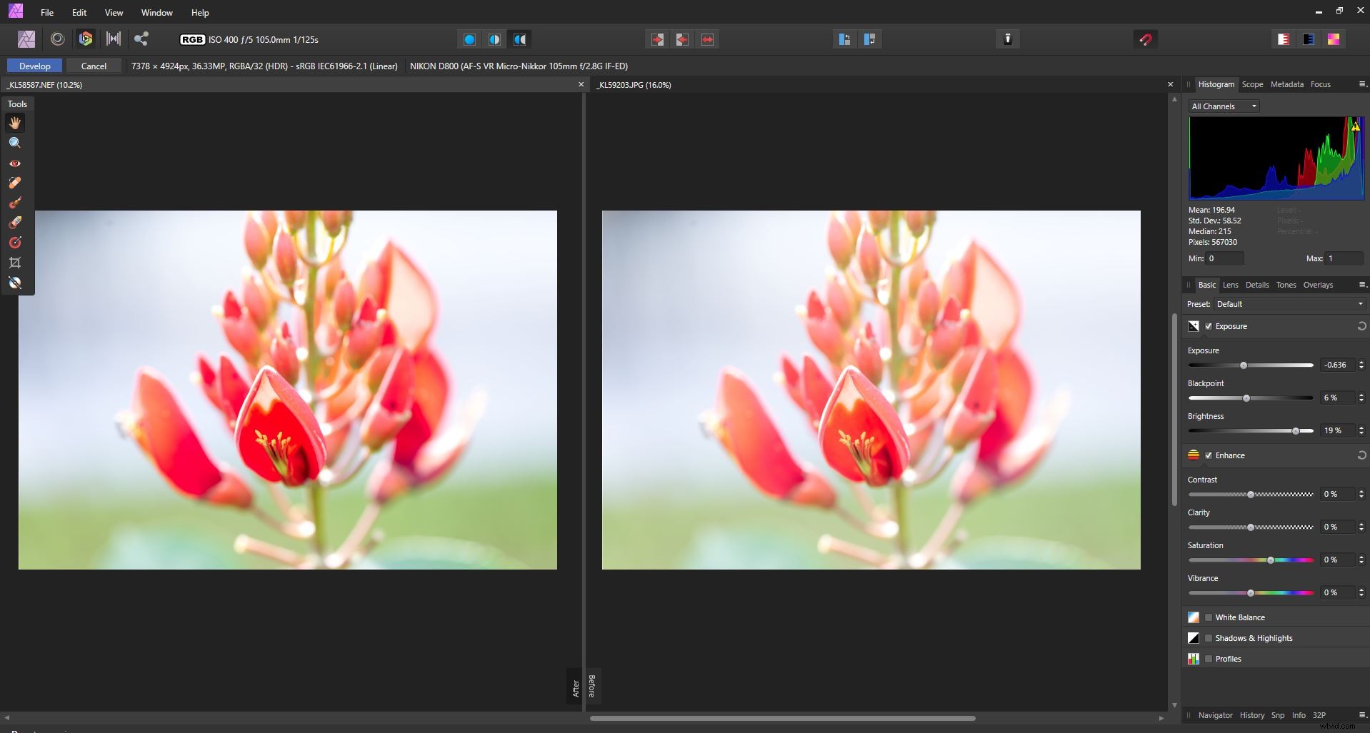 Affinity Photo Beginner s Guide: Master Powerful Photo Editing Effortlessly
