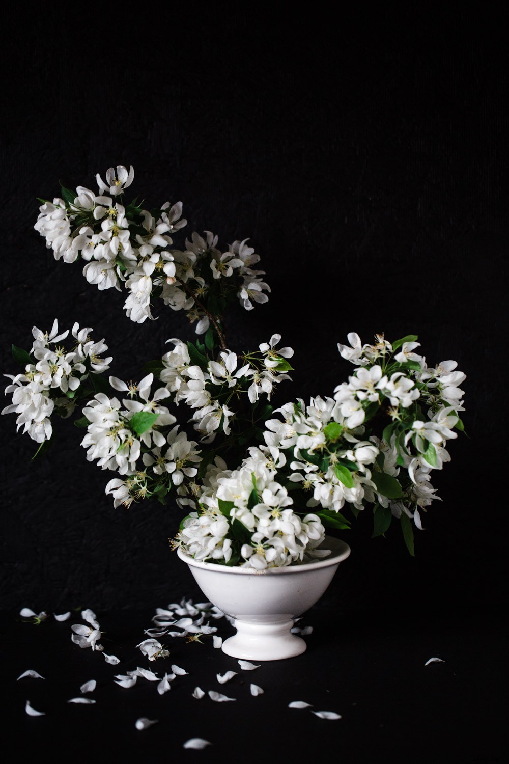 5 Proven Tips to Elevate Your Photography Skills Today