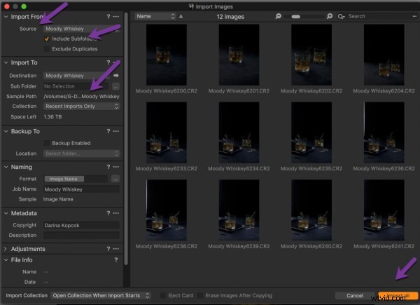 Master Photo Organization in Capture One Pro: Expert Tips to Save Time
