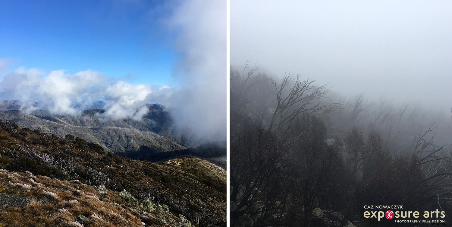 Capture the Mystique: Weekly Photography Challenge - Mist