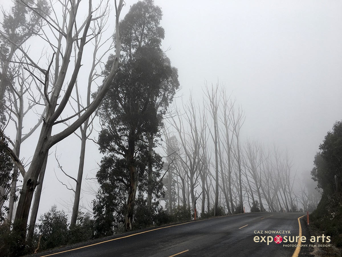 Capture the Mystique: Weekly Photography Challenge - Mist