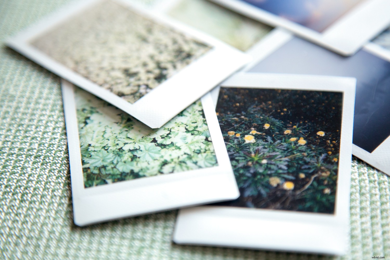 Elevate Your Photography: How Instant Cameras Boost Your Skills