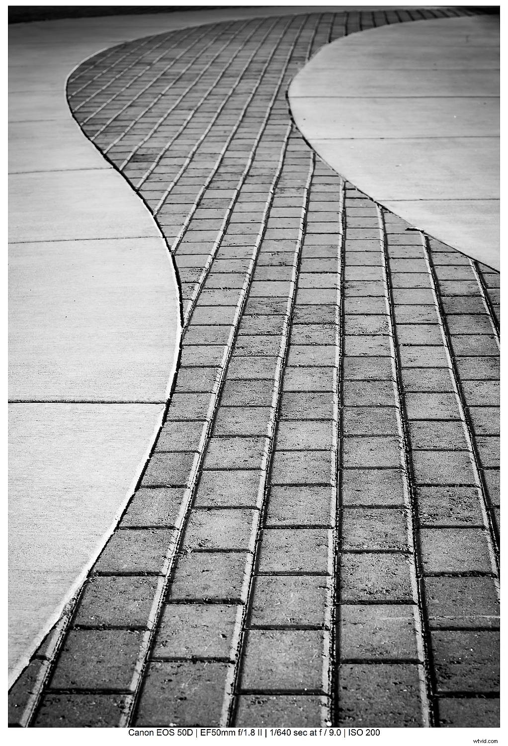 Master Black and White Still Life Photography: Techniques and Why It Matters