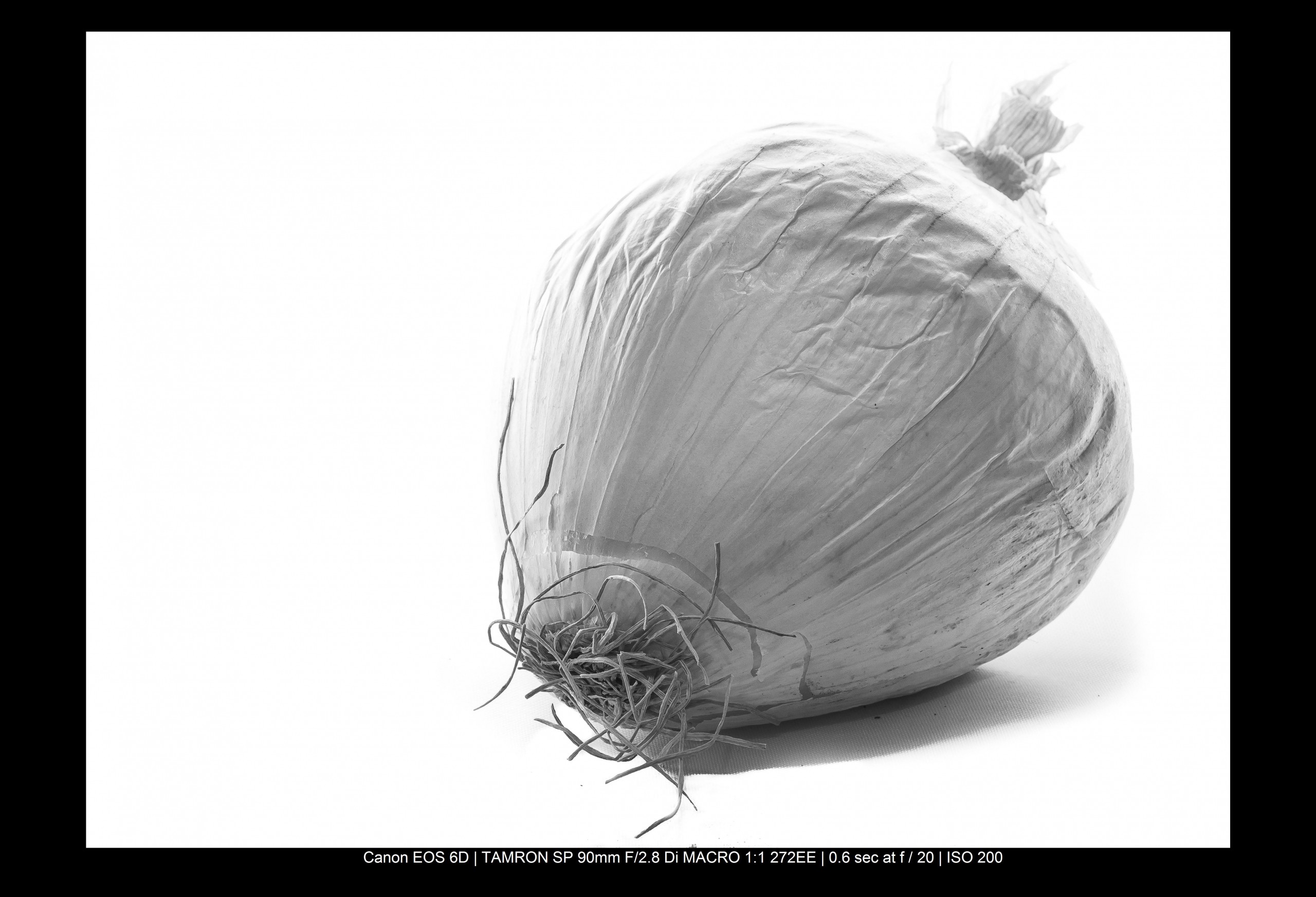 Master Black and White Still Life Photography: Techniques and Why It Matters