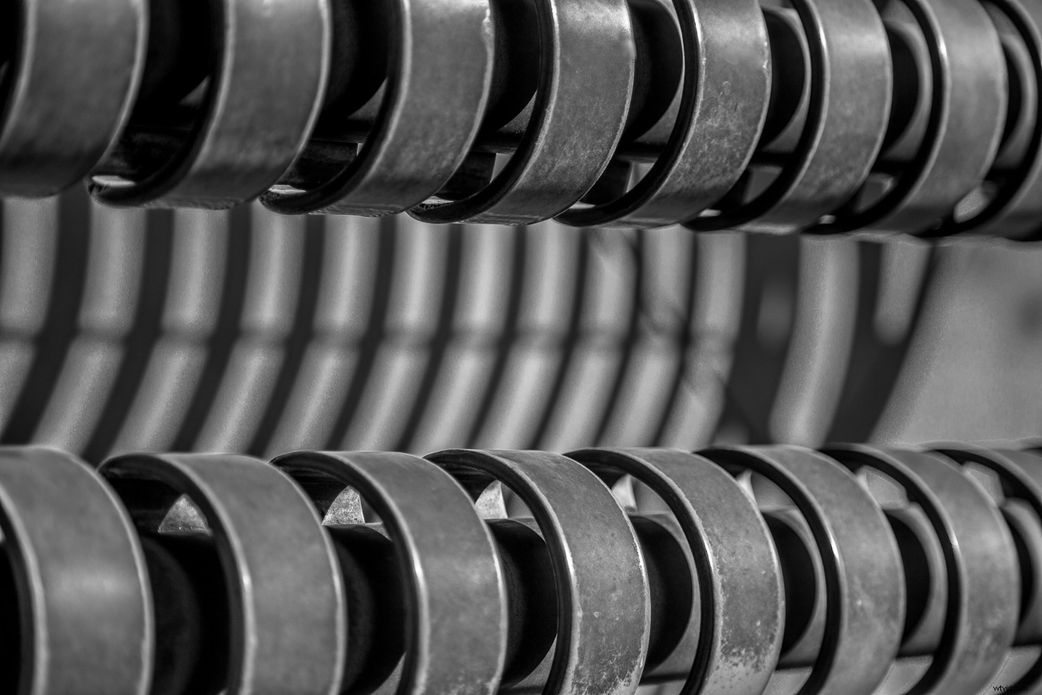 Master Black and White Still Life Photography: Techniques and Why It Matters