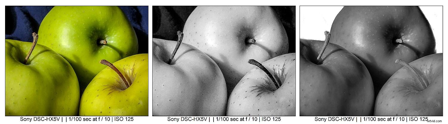 Master Black and White Still Life Photography: Techniques and Why It Matters