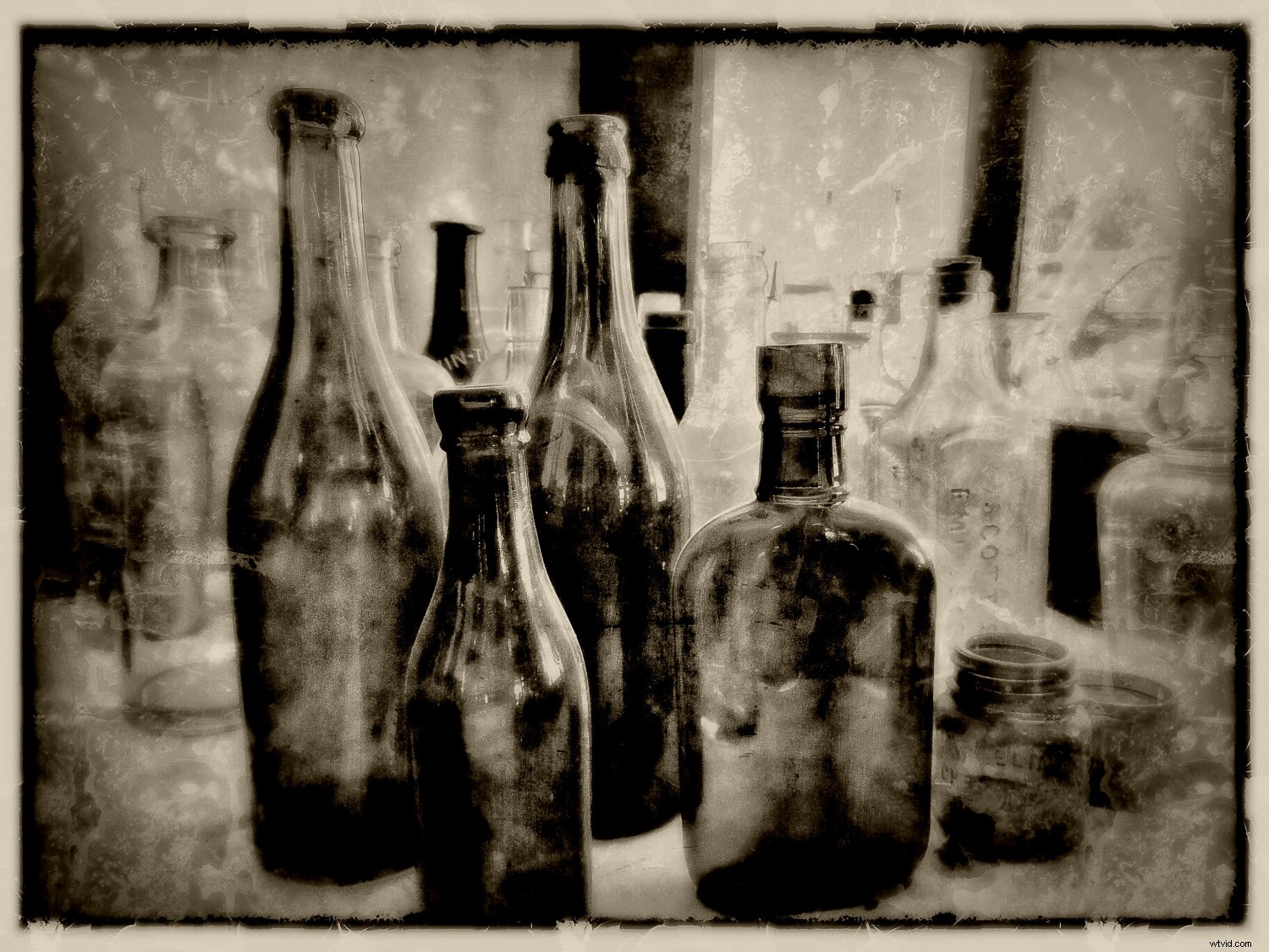 Master Black and White Still Life Photography: Techniques and Why It Matters