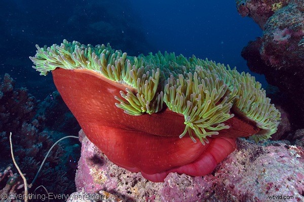 Exclusive Interview with Renowned World Traveler Gary Arndt