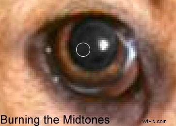 Photoshop Red Eye Removal: Proven Fix for Tough Cases in People & Pets