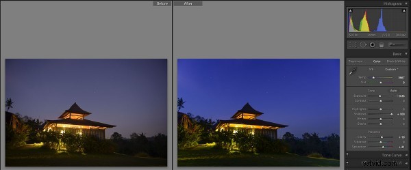 Bali Travel Inspiration: Stunning Nikon Photos from Ubud Villas