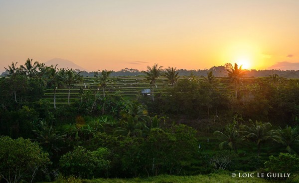 Bali Travel Inspiration: Stunning Nikon Photos from Ubud Villas