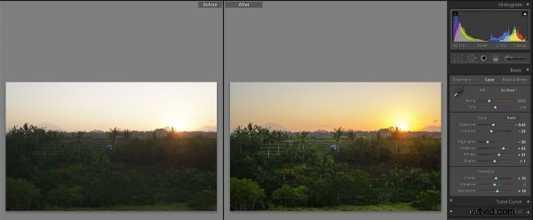 Bali Travel Inspiration: Stunning Nikon Photos from Ubud Villas