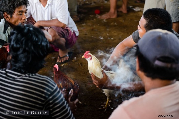 Bali Travel Inspiration: Stunning Nikon Photos from Ubud Villas