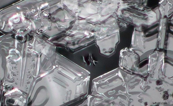 Master Focus Stacking for Pin-Sharp Macro Images in Photoshop: Step-by-Step Guide