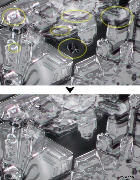 Master Focus Stacking for Pin-Sharp Macro Images in Photoshop: Step-by-Step Guide