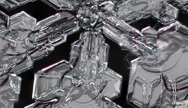 Master Focus Stacking for Pin-Sharp Macro Images in Photoshop: Step-by-Step Guide