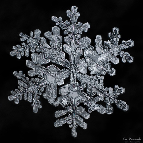 Master Focus Stacking for Pin-Sharp Macro Images in Photoshop: Step-by-Step Guide