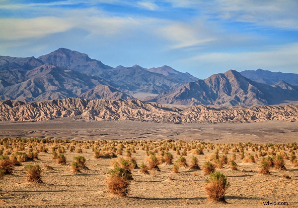 10 Common Landscape Photography Mistakes and How to Overcome Them