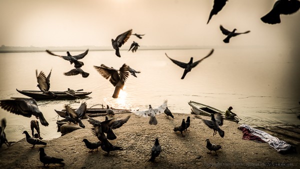 Master Wide-Angle Lenses for Captivating People Photography: Pro Tips