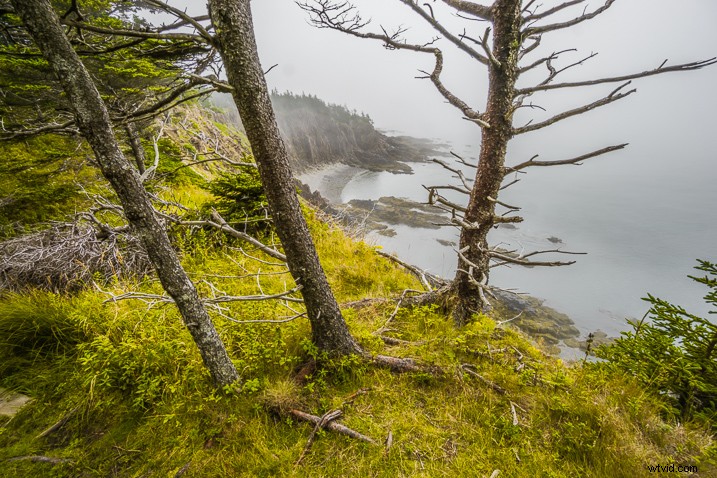 Streamlined Photo Editing Workflow for Stunning Travel Photography