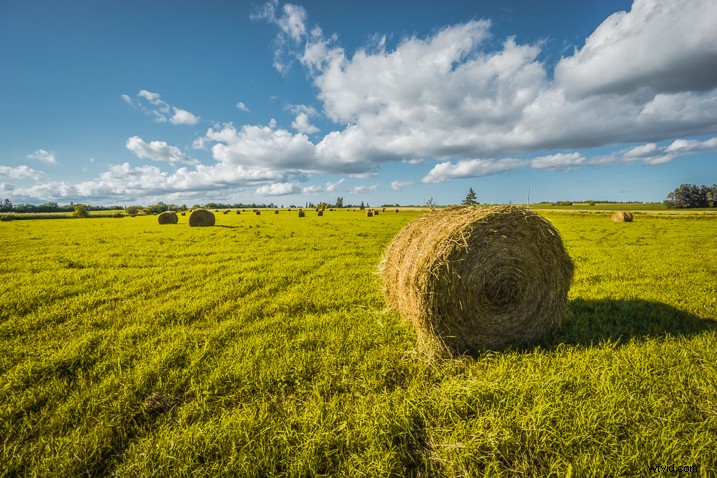 Streamlined Photo Editing Workflow for Stunning Travel Photography