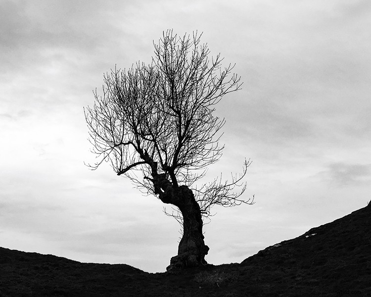 Elevate Your Photography: Pro Tips for Mastering Smartphone Camera Skills