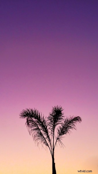 Elevate Your Photography: Pro Tips for Mastering Smartphone Camera Skills