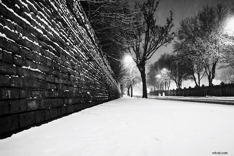 Elevate Your Photography: Pro Tips for Mastering Smartphone Camera Skills