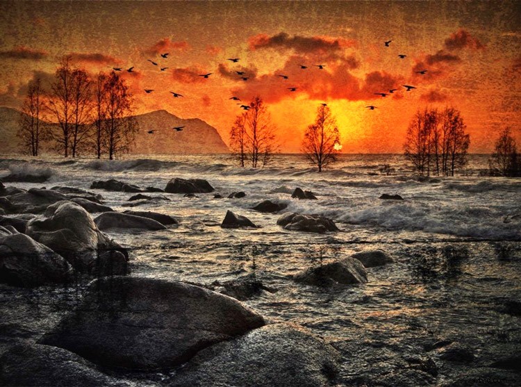 Master Landscape Photo Editing: From Essential Fixes to Artistic Transformations