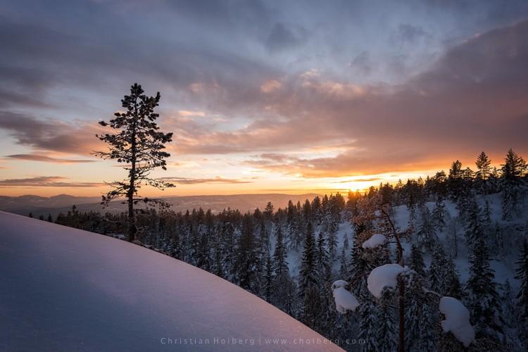 3 Essential Habits for Outdoor Photographers to Never Miss a Shot