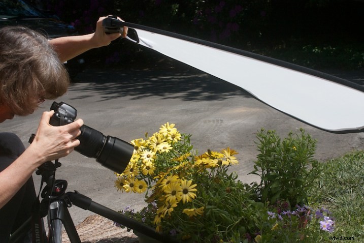 Master Flower Photography: Using Reflectors & Diffusers for Stunning Lighting
