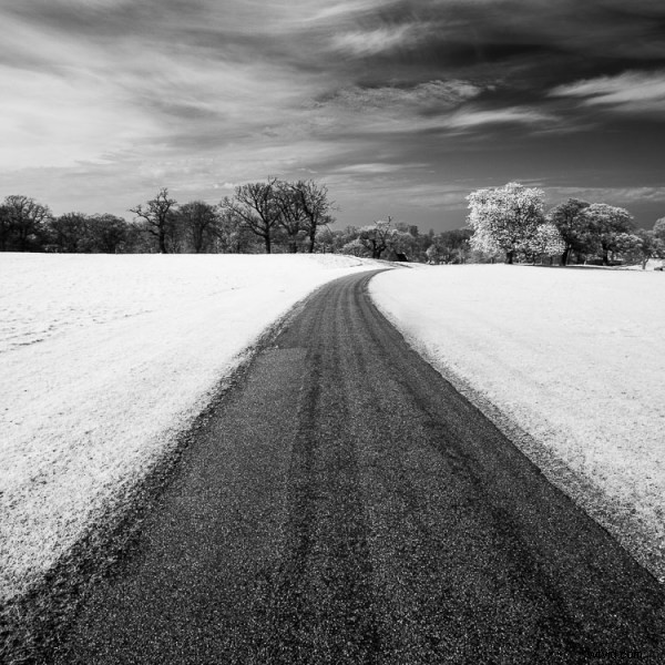 Ultimate DIY Guide: Convert Your Old Camera to Infrared for Stunning Black & White Landscapes