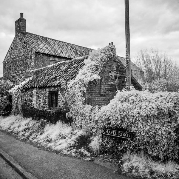 Ultimate DIY Guide: Convert Your Old Camera to Infrared for Stunning Black & White Landscapes