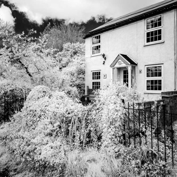 Ultimate DIY Guide: Convert Your Old Camera to Infrared for Stunning Black & White Landscapes