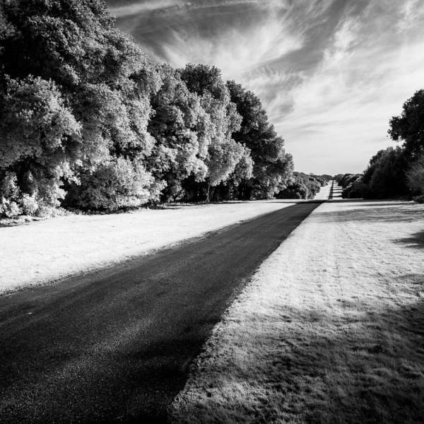 Ultimate DIY Guide: Convert Your Old Camera to Infrared for Stunning Black & White Landscapes