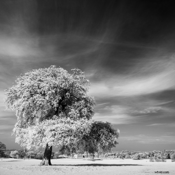 Ultimate DIY Guide: Convert Your Old Camera to Infrared for Stunning Black & White Landscapes