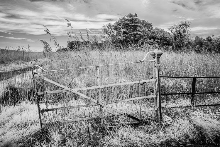 Ultimate DIY Guide: Convert Your Old Camera to Infrared for Stunning Black & White Landscapes