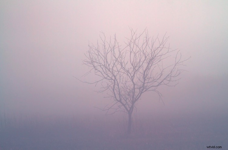 Ultimate Guide to Landscape Photography: Expert Tips & Techniques from dPS