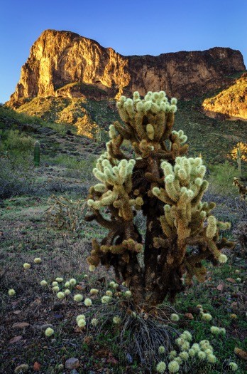 Ultimate Guide to Landscape Photography: Expert Tips & Techniques from dPS