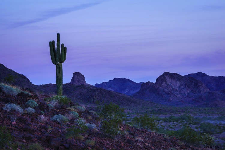 Ultimate Guide to Landscape Photography: Expert Tips & Techniques from dPS