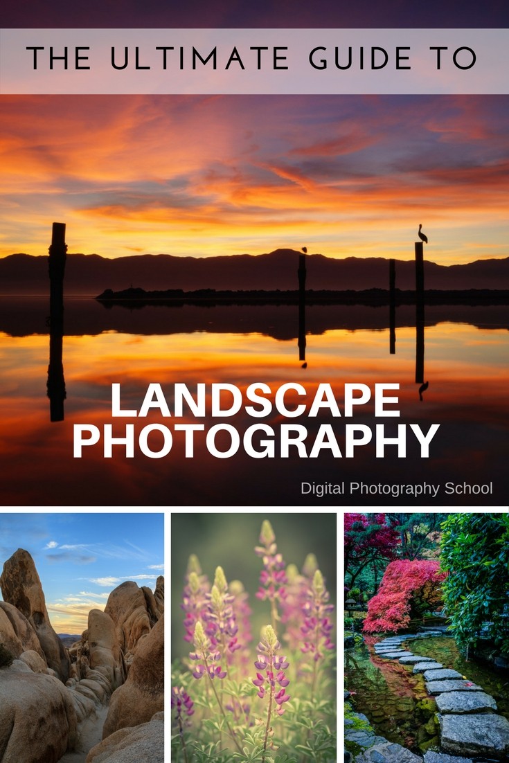 Ultimate Guide to Landscape Photography: Expert Tips & Techniques from dPS