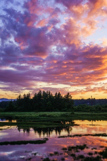 Ultimate Guide to Landscape Photography: Expert Tips & Techniques from dPS