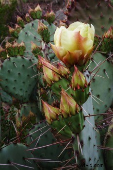 Ultimate Guide to Landscape Photography: Expert Tips & Techniques from dPS