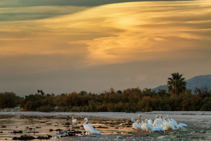 Ultimate Guide to Landscape Photography: Expert Tips & Techniques from dPS